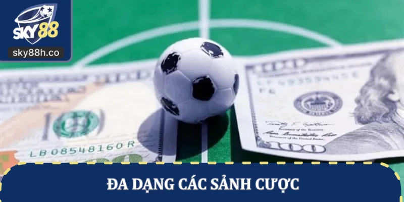 Đa dạng các sảnh cược