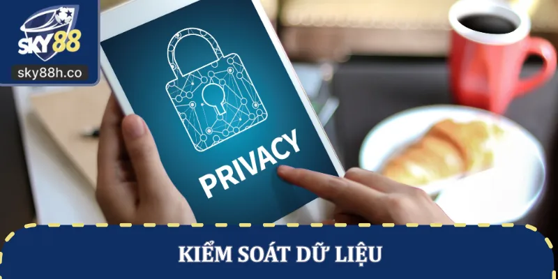 Kiểm kiểm soát dữ liệu